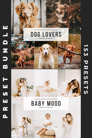 Preset Bundle | 154 PRESETS - 16 Colections | Editor's Choice