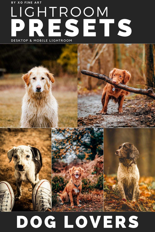 Dogs Presets | DOG LOVERS | Set of 7 | Mobile & Desktop Lightroom Presets - Animal Preset, dog lightroom preset, dog preset, dog presets, FREE Lightroom Presets, furry friends, instagram preset, Lightroom mobile presets, Lightroom Presets, lightroom presets desktop, mobile presets	pet, pets, preset, presets, presets	dog, presets for dogs, presets lightroom, puppy preset, puppy presets