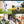 Load image into Gallery viewer, Dogs Presets | XO PUPPIES | Set of 8 | Mobile & Desktop Lightroom Presets - animal presets, dogs presets, FREE Lightroom Presets, furry friends, Lightroom mobile presets, Lightroom Presets, lightroom presets desktop, pet instagram preset, pets presets, preset, presets, presets for dogs, presets for pets, presets for puppies, puppies presets, puppy preset, puppy presets
