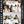 Load image into Gallery viewer, Preset Bundle | 153 PRESETS - 16 Colections | INFLUENCER COLLECTION