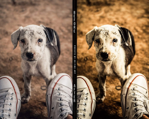 Dogs Presets | DOG LOVERS | Set of 7 | Mobile & Desktop Lightroom Presets - Animal Preset, dog lightroom preset, dog preset, dog presets, FREE Lightroom Presets, furry friends, instagram preset, Lightroom mobile presets, Lightroom Presets, lightroom presets desktop, mobile presets	pet, pets, preset, presets, presets	dog, presets for dogs, presets lightroom, puppy preset, puppy presets