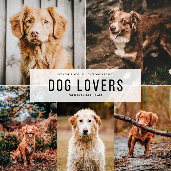 Dogs Presets | DOG LOVERS | Set of 7 | Mobile & Desktop Lightroom Presets - Animal Preset, dog lightroom preset, dog preset, dog presets, FREE Lightroom Presets, furry friends, instagram preset, Lightroom mobile presets, Lightroom Presets, lightroom presets desktop, mobile presets	pet, pets, preset, presets, presets	dog, presets for dogs, presets lightroom, puppy preset, puppy presets
