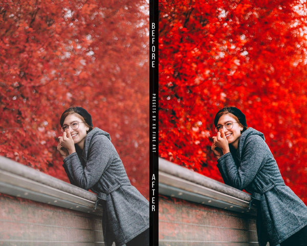 Autumn Presets | ALL SEASONS | Set of 12 | Mobile & Desktop Lightroom Presets - autumn & fall lightroom preset, Autumn Preset, Blogger Presets, Halloween presets, Influencer Presets, Instagram Preset, iPhone Presets, Lightroom CC, Lightroom Mobile, Lightroom presets, Mobile Filter, Mobile Preset, Orange Warm Preset, outdoor photography, Photo Presets, Presets, vintage preset lightroom