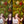Load image into Gallery viewer, Autumn Presets | MYSTICAL FALL | Set of 7 | Mobile & Desktop Lightroom Presets - autumn colors, AUTUMN preset, Autumn Tones, Fall Presets, family autumn, FREE Lightroom Presets, Halloween presets, Lightroom mobile presets, Lightroom Presets, lightroom presets desktop, Orange Warm Preset, outdoor photography, preset, presets, presets lightroom, vintage preset