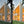 Load image into Gallery viewer, Real Estate Presets | REAL ESTATE | Set of 11 | Mobile & Desktop Lightroom Presets - XoFineArt - Lightroom Presets