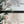 Load image into Gallery viewer, Dogs Presets | XO PETS | Set of 8 | Mobile & Desktop Lightroom Presets - animal presets, Animals Presets, Cat Lovers, cats presets, DOG LOVERS, dog preset, dogs presets, FREE Lightroom Presets, FURRY FRIENDS, Lightroom mobile presets, Lightroom Presets, lightroom presets desktop, pet, pets presets, preset, presets, presets dog, presets lightroom
