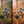 Load image into Gallery viewer, Autumn Presets | AUTUMN VIBE | Set of 7 | Mobile & Desktop Lightroom Presets - autumn colors, AUTUMN preset, Autumn Tones, Fall Presets, family autumn, FREE Lightroom Presets, Halloween presets, Lightroom mobile presets, Lightroom Presets, lightroom presets desktop, Orange Warm Preset, outdoor photography, preset, presets, presets lightroom