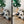 Load image into Gallery viewer, Dogs Presets | XO PETS | Set of 8 | Mobile & Desktop Lightroom Presets - animal presets, Animals Presets, Cat Lovers, cats presets, DOG LOVERS, dog preset, dogs presets, FREE Lightroom Presets, FURRY FRIENDS, Lightroom mobile presets, Lightroom Presets, lightroom presets desktop, pet, pets presets, preset, presets, presets dog, presets lightroom
