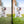 Load image into Gallery viewer, Dogs Presets | XO PUPPIES | Set of 8 | Mobile & Desktop Lightroom Presets - animal presets, dogs presets, FREE Lightroom Presets, furry friends, Lightroom mobile presets, Lightroom Presets, lightroom presets desktop, pet instagram preset, pets presets, preset, presets, presets for dogs, presets for pets, presets for puppies, puppies presets, puppy preset, puppy presets