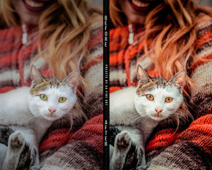 Cats Presets | XO CATS | Set of 7 | Mobile & Desktop Lightroom Presets - cats filters, cats lightroom, cats mobile filters, cats photo filters, cats PRESET, cats presets, FREE Lightroom Presets, furry friends, kitties filters, kitties presets, Lightroom mobile presets, Lightroom Presets, lightroom presets desktop, pets presets, preset, presets, presets lightroom, pussycat presets, pussycats filters