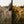 Load image into Gallery viewer, Autumn Presets | RUSTIC VIBE | Set of 7 | Mobile & Desktop Lightroom Presets - autumn preset, Blogger Presets, earthy presets, Fall Presets, film presets, FREE Lightroom Presets, Halloween presets, indie presets, Lightroom mobile presets, Lightroom Presets, lightroom presets desktop, moody presets, pastel preset, preset, presets, presets lightroom, rustic presets