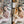 Load image into Gallery viewer, Christmas Presets | GOLDEN CHRISTMAS | Set of 7 | Mobile & Desktop Lightroom Presets - aesthetic christmas, Blogger Preset, Christmas Day, Christmas Presets, Cozy Holiday, earthtone preset, FREE Lightroom Presets, golden Christmas, Indoor Blogger, light and airy, Lightroom mobile presets, Lightroom Presets, lightroom presets desktop, pastel preset, preset, presets, presets lightroom, rose gold preset, Winter Preset