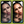 Load image into Gallery viewer, Mobile mockup showing Portraits Pro Lightroom presets applied to a photo of a woman. Side-by-side comparison highlights before and after editing results with enhanced skin tones and vibrant details.