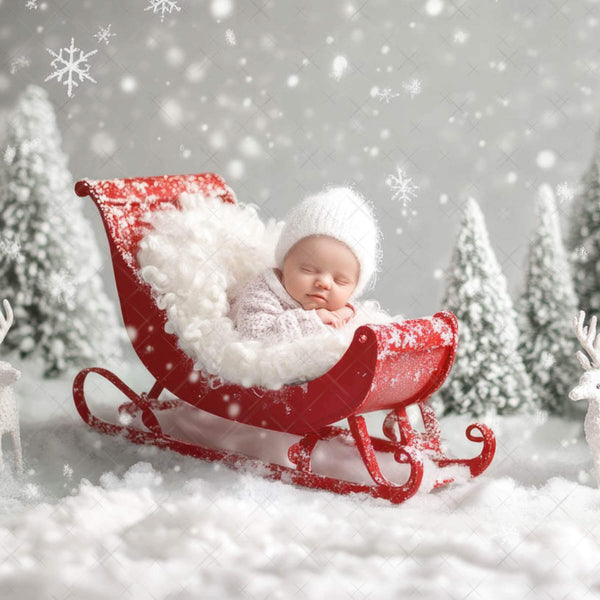 Seasonal Holiday Newborn Backdrops