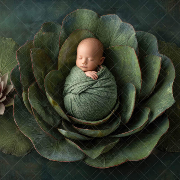 Earthy Woodland Newborn Backdrops
