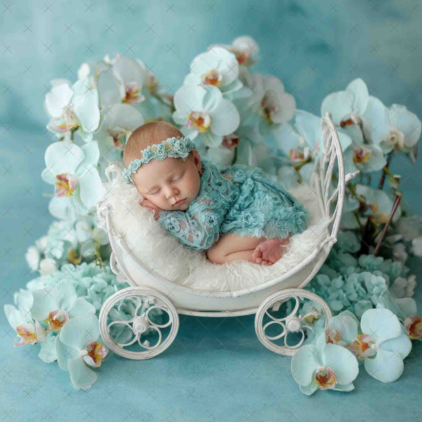 Woodland Newborn Digital Backdrops – Volume 2 (21 Backdrops)