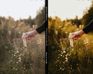 Autumn Presets | RUSTIC VIBE | Set of 7 | Mobile & Desktop Lightroom Presets - autumn preset, Blogger Presets, earthy presets, Fall Presets, film presets, FREE Lightroom Presets, Halloween presets, indie presets, Lightroom mobile presets, Lightroom Presets, lightroom presets desktop, moody presets, pastel preset, preset, presets, presets lightroom, rustic presets